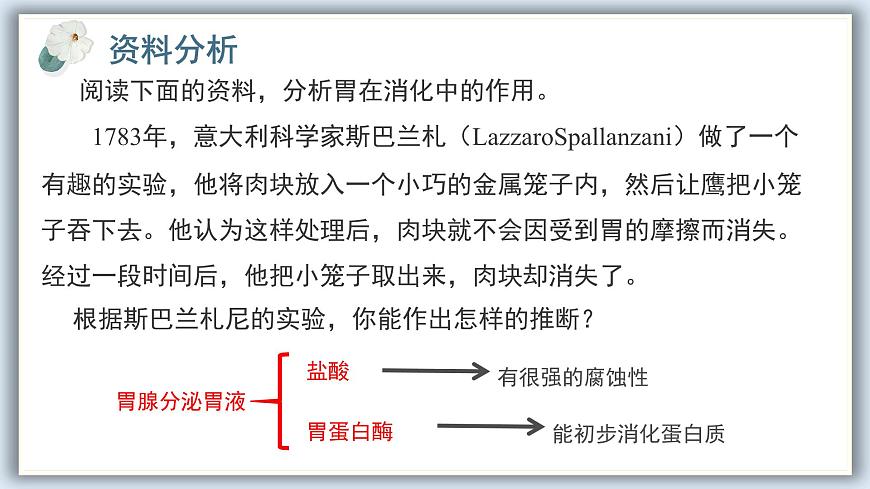 【核心素養(yǎng)目標】冀少版初中生物七年級下冊第三單元第一章第三節(jié)第二部分《食物在腸胃內(nèi)的消化》課件pptx第5頁