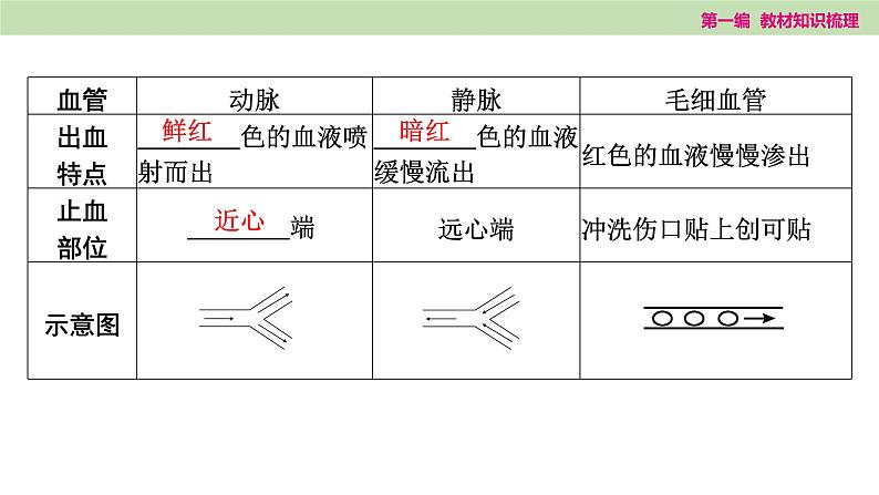 2025年中考知识整理七年级生物上册第十三课时 人体内物质的运输课件PPT第8页