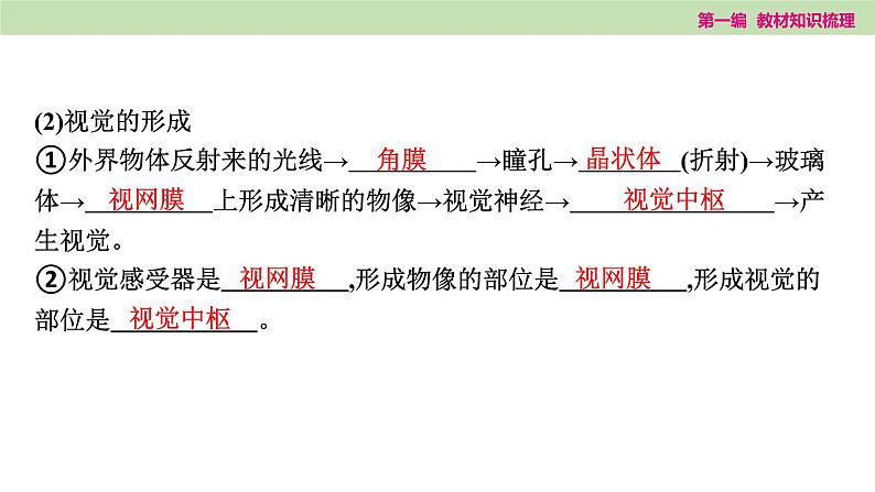 2025年中考知识整理七年级生物上册第十五课时 人体生命活动的调节和人类活动对生物圈的影响课件PPT第3页