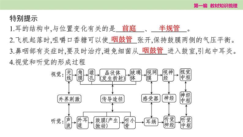 2025年中考知识整理七年级生物上册第十五课时 人体生命活动的调节和人类活动对生物圈的影响课件PPT第8页