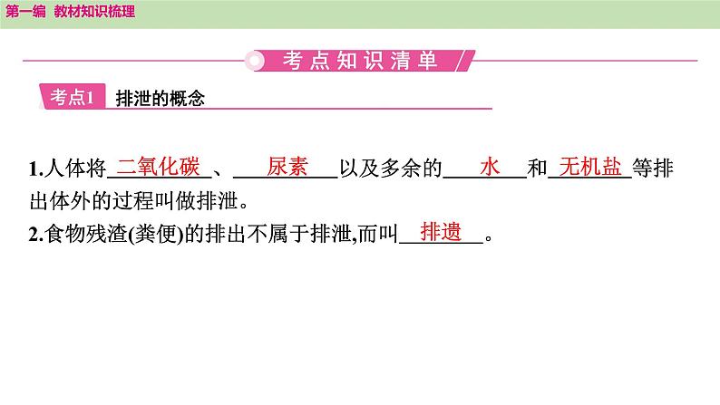 2025年中考知识整理七年级生物上册第十四课时 人体内废物的排出课件PPT第2页