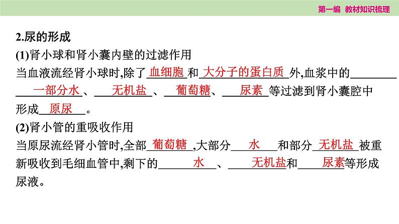2025年中考知识整理七年级生物上册第十四课时 人体内废物的排出课件PPT第5页