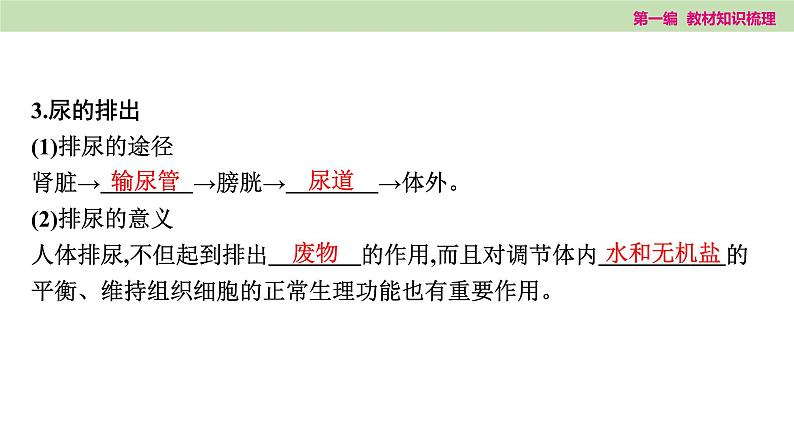 2025年中考知识整理七年级生物上册第十四课时 人体内废物的排出课件PPT第6页
