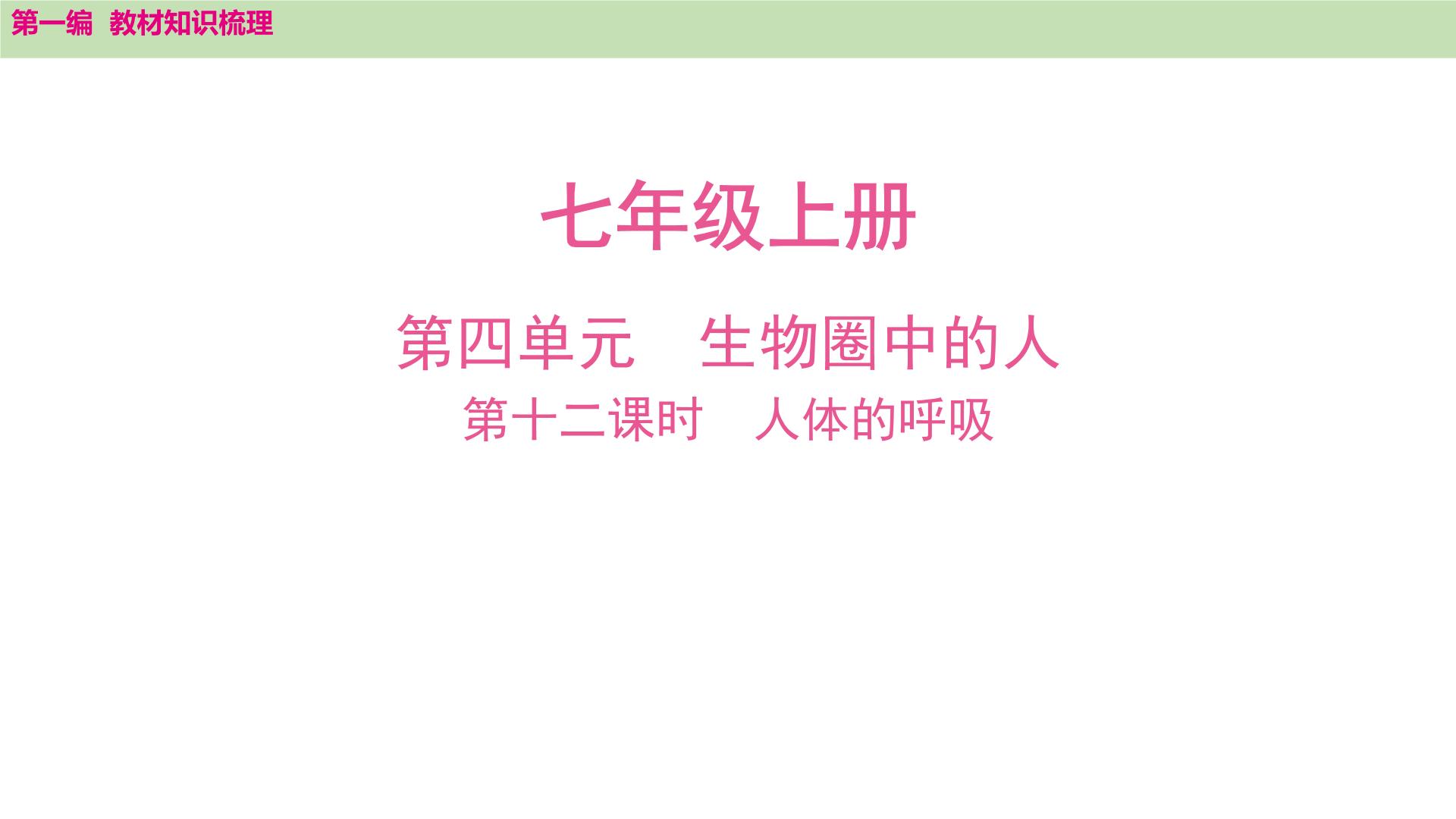 2025年中考知识整理七年级生物上册第十二课时　人体的呼吸课件PPT