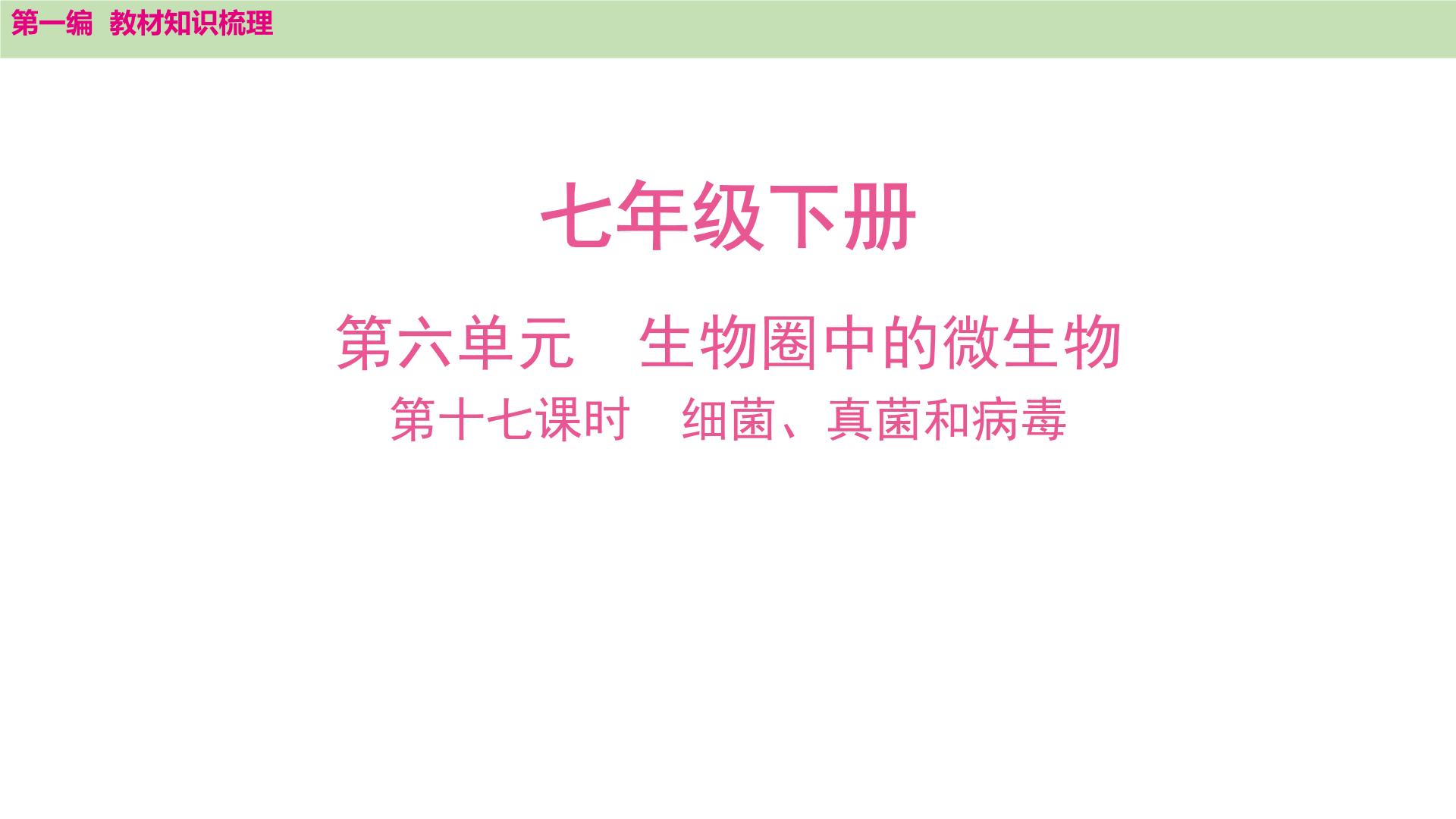 2025年中考知识整理七年级生物上册第十七课时　细菌、真菌和病毒课件PPT