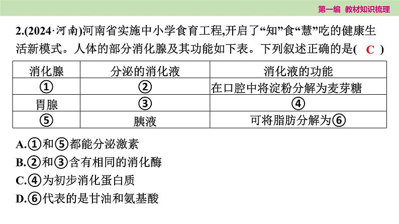 2025年中考知识整理七年级生物上册微专题(三) 人体的新陈代谢课件PPT第3页