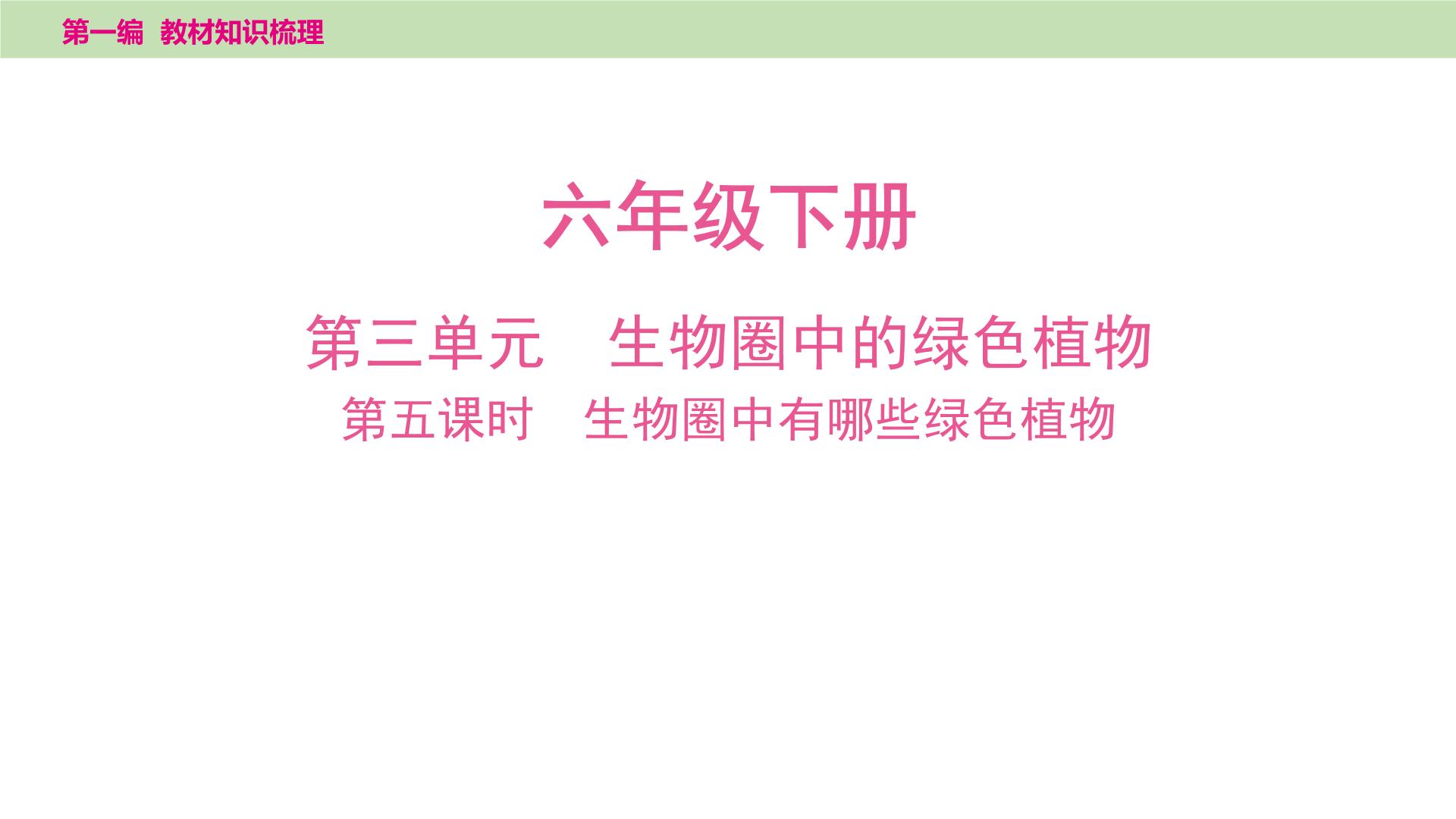 2025年中考知识整理六年级下册--1.第五课时　生物圈中有哪些绿色植物课件PPT