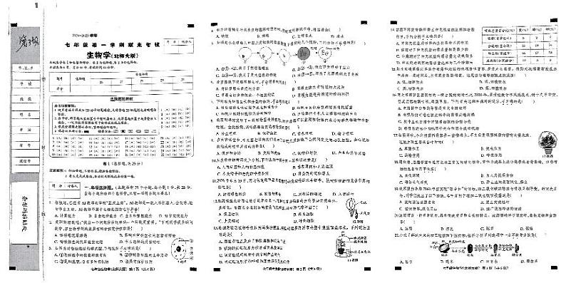 河北省邯郸市临漳县第五中学2024-2025学年七年级上学期1月期末生物试题第1页