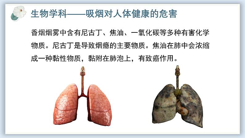 【核心素养目标】冀少版初中生物七年级下册跨学科实践活动《制作实验装置,模拟吸烟有害健康》课件第5页