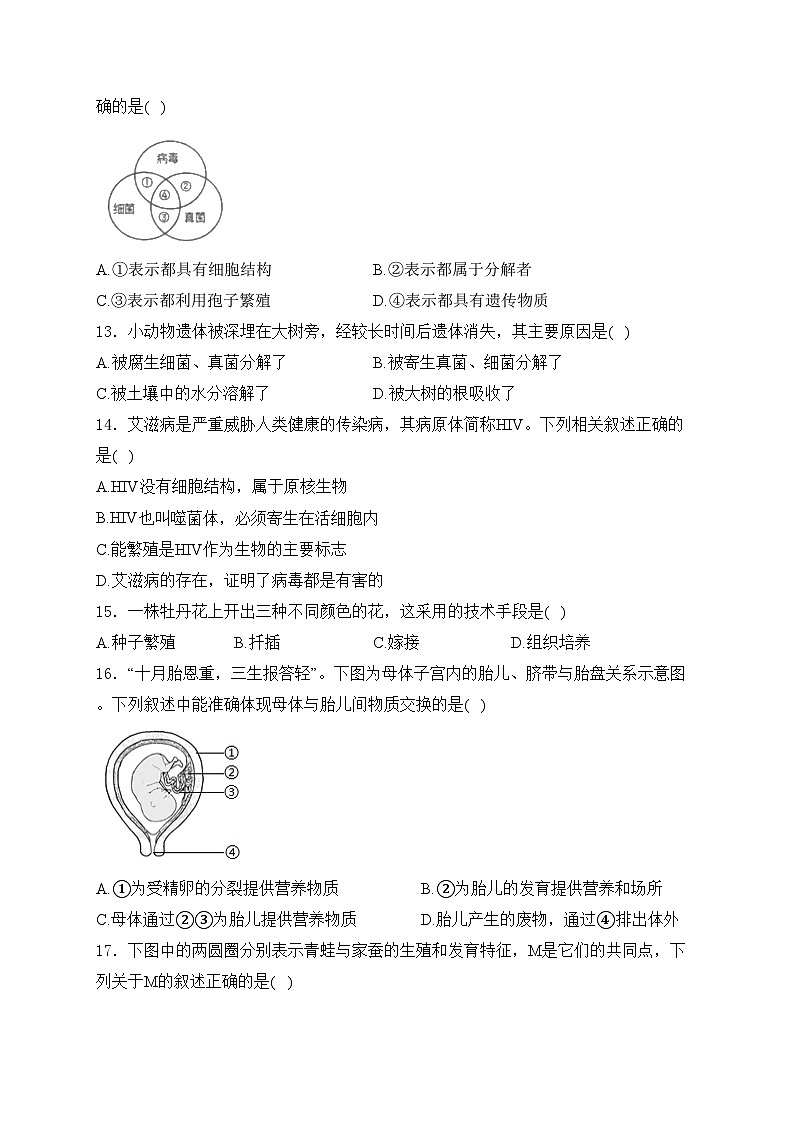 河南省开封市2024-2025学年八年级上学期期末调研检测生物试卷(含答案)第3页