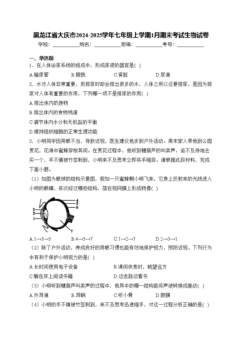 黑龙江省大庆市2024-2025学年七年级上学期1月期末考试生物试卷(含答案)第1页