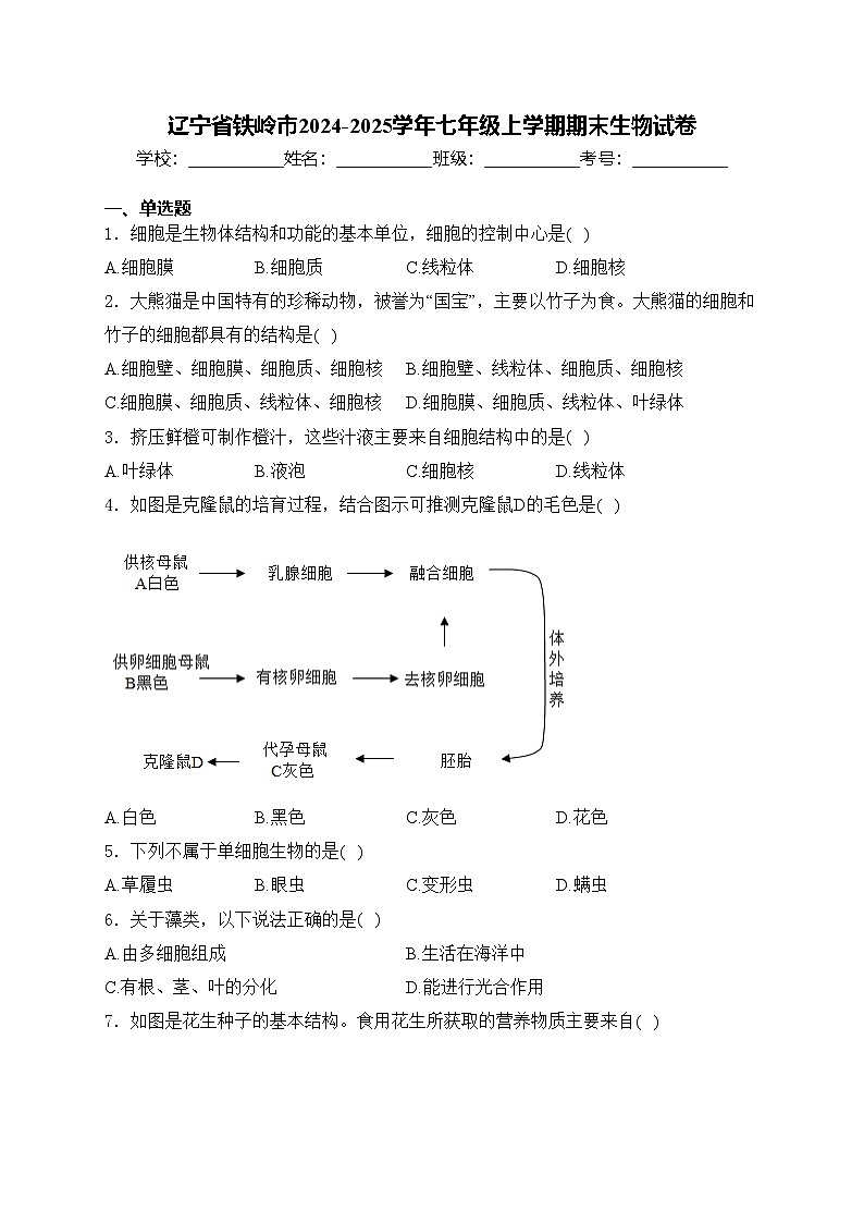 辽宁省铁岭市2024-2025学年七年级上学期期末生物试卷(含答案)第1页