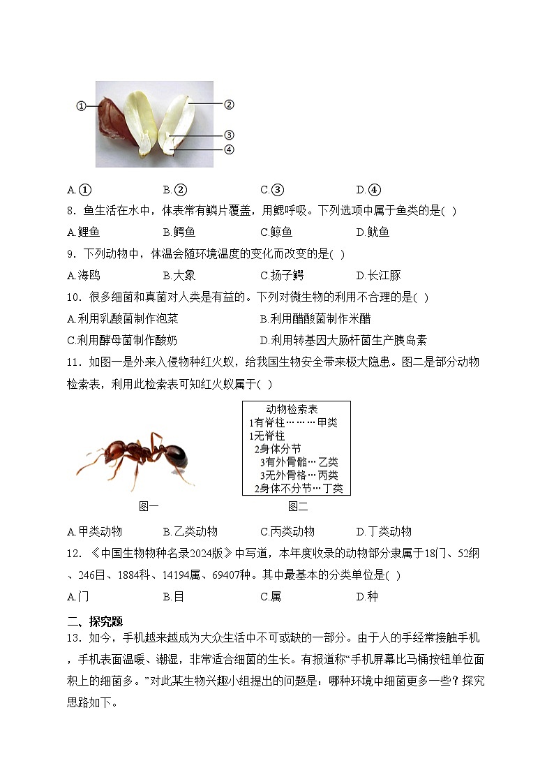 辽宁省铁岭市2024-2025学年七年级上学期期末生物试卷(含答案)第2页