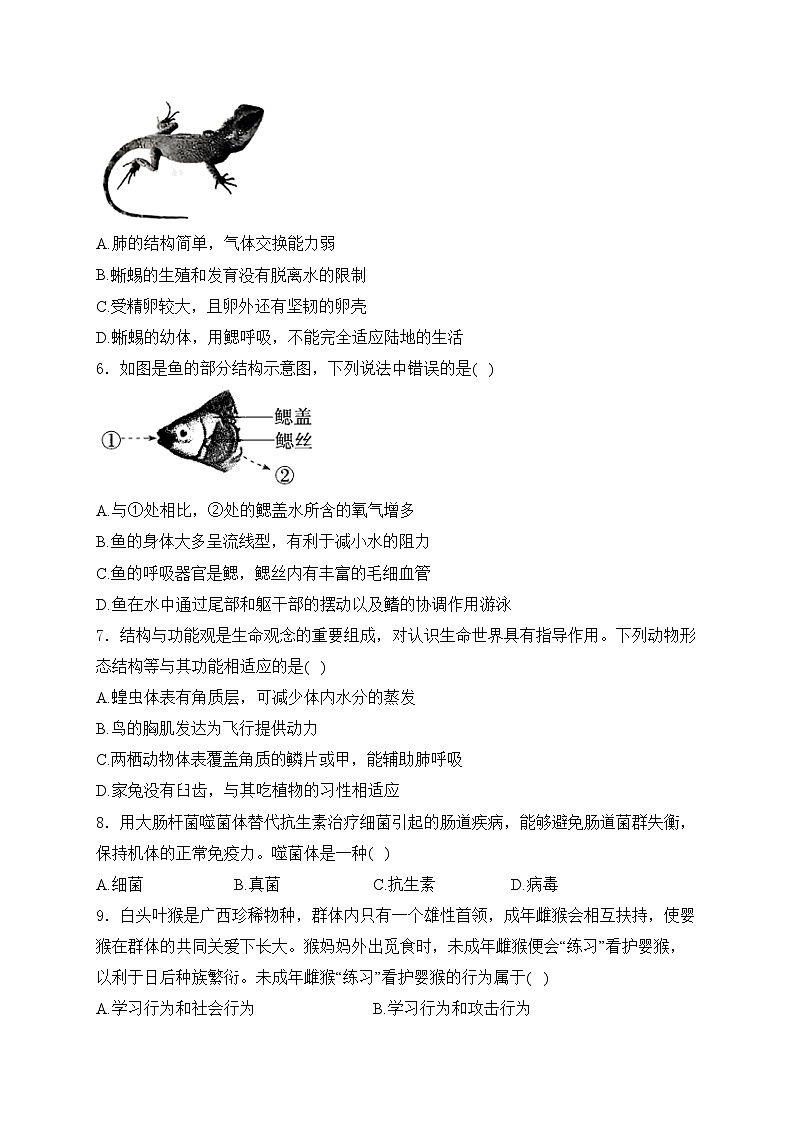 山西省阳泉市2024-2025学年八年级上学期期末考试生物试卷(含答案)第2页