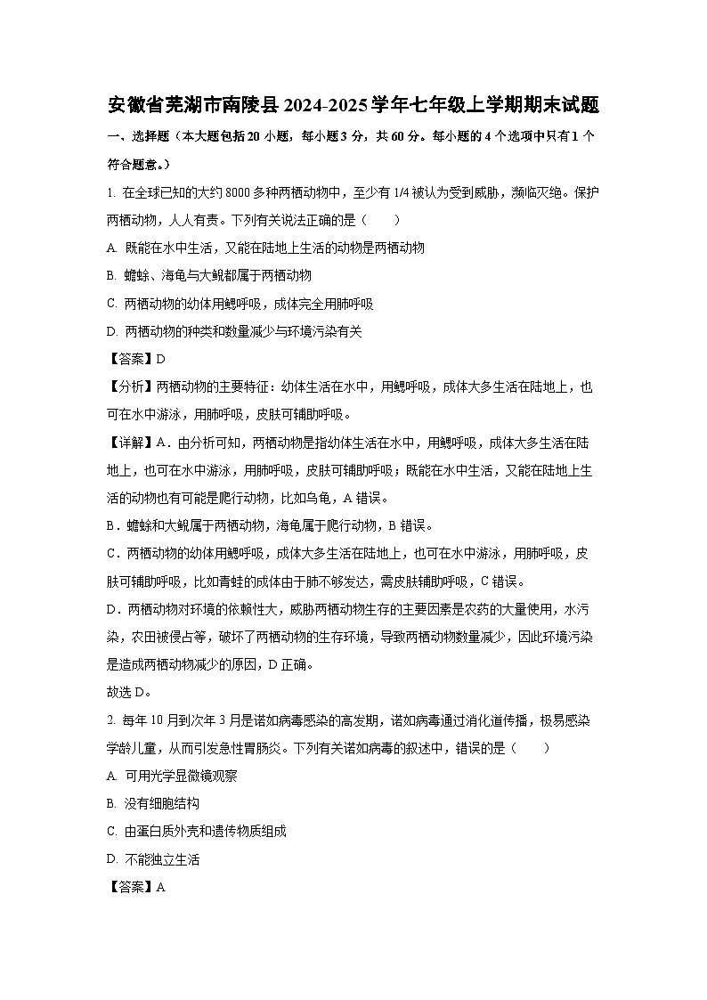 2024-2025学年安徽省芜湖市南陵县七年级上学期期末生物试卷(解析版)第1页