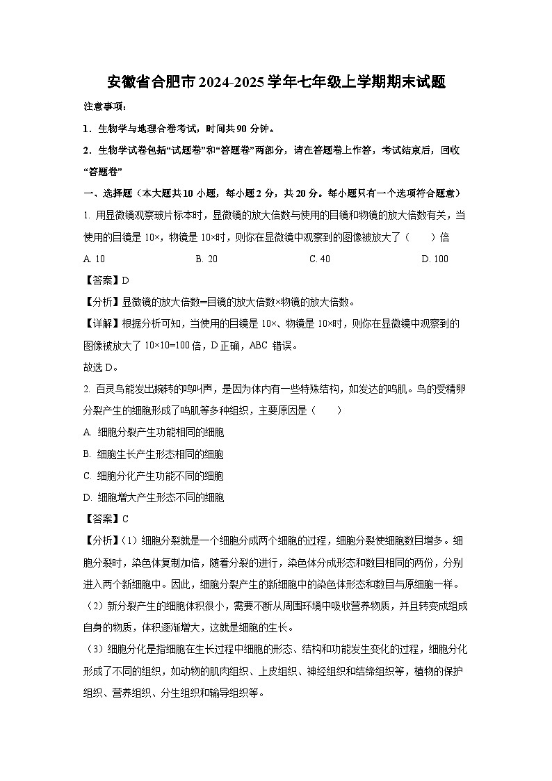 2024-2025学年安徽省合肥市七年级上学期期末生物试卷(解析版)第1页