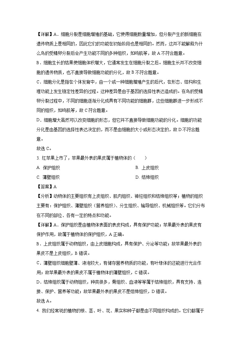 2024-2025学年安徽省合肥市七年级上学期期末生物试卷(解析版)第2页