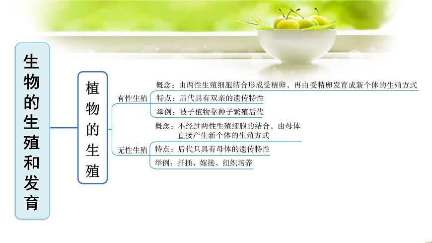 新人教版八年級(jí)下冊(cè)生物全冊(cè)期末復(fù)習(xí)課件：分單元復(fù)習(xí)（知識(shí)點(diǎn)框架+重點(diǎn)題型）第3頁(yè)
