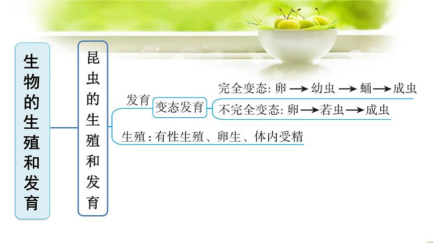 新人教版八年級(jí)下冊(cè)生物全冊(cè)期末復(fù)習(xí)課件：分單元復(fù)習(xí)（知識(shí)點(diǎn)框架+重點(diǎn)題型）第4頁(yè)