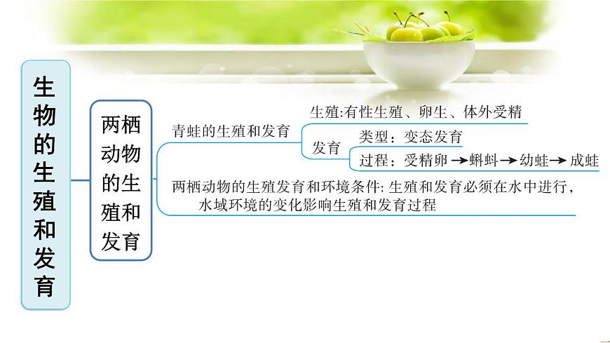 新人教版八年級(jí)下冊(cè)生物全冊(cè)期末復(fù)習(xí)課件：分單元復(fù)習(xí)（知識(shí)點(diǎn)框架+重點(diǎn)題型）第5頁(yè)