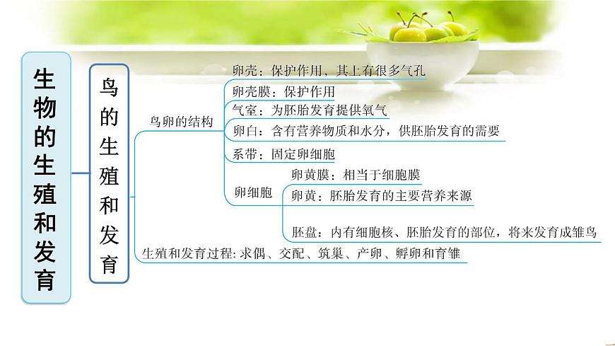 新人教版八年級(jí)下冊(cè)生物全冊(cè)期末復(fù)習(xí)課件:分單元復(fù)習(xí)(知識(shí)點(diǎn)框架+重點(diǎn)題型)第6頁(yè)