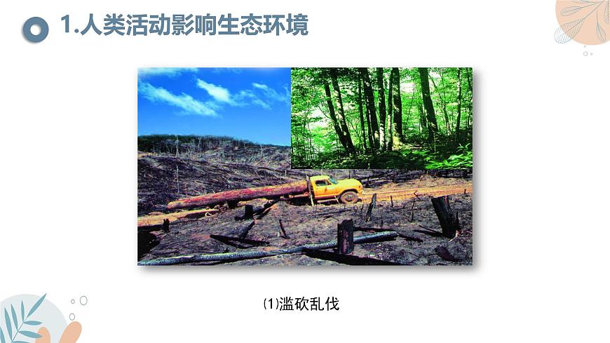 【核心素養(yǎng)目標(biāo)】蘇教版初中生物七年級下冊3.8.2《生態(tài)安全》課件第6頁