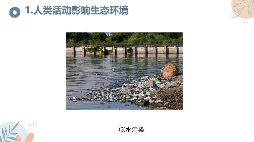 【核心素養(yǎng)目標(biāo)】蘇教版初中生物七年級下冊3.8.2《生態(tài)安全》課件第8頁