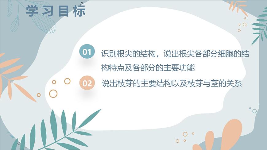 【核心素養(yǎng)目標】蘇教版初中生物七年級下冊4.9.2《植物的生長》課件第3頁