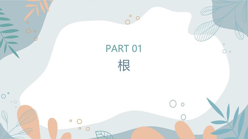 【核心素養(yǎng)目標】蘇教版初中生物七年級下冊4.9.2《植物的生長》課件第4頁