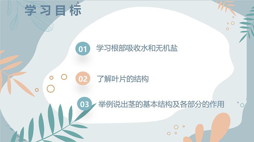 【核心素養(yǎng)目標(biāo)】蘇教版初中生物七年級(jí)下冊(cè)4.10.1《植物的營(yíng)養(yǎng)器官》課件第3頁(yè)