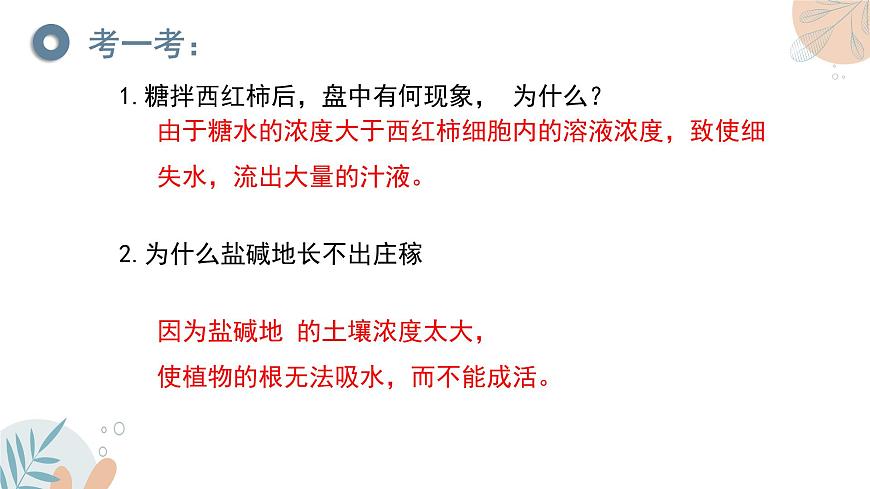 【核心素養(yǎng)目標(biāo)】蘇教版初中生物七年級(jí)下冊(cè)4.10.1《植物的營(yíng)養(yǎng)器官》課件第8頁(yè)