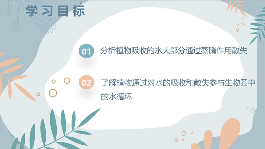 【核心素養(yǎng)目標(biāo)】蘇教版初中生物七年級(jí)下冊(cè)4.10.2《生物圈中的水循環(huán)》課件第3頁(yè)