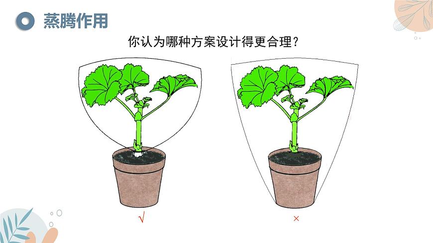 【核心素養(yǎng)目標(biāo)】蘇教版初中生物七年級(jí)下冊(cè)4.10.2《生物圈中的水循環(huán)》課件第7頁(yè)