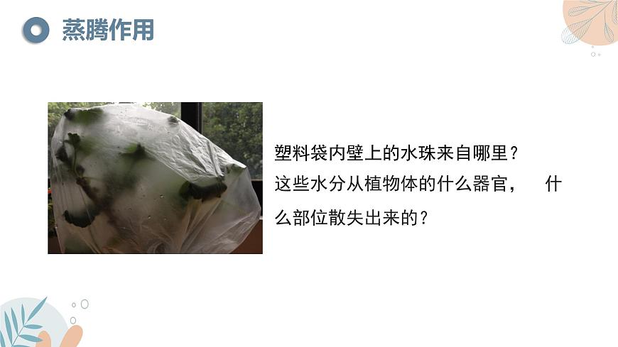 【核心素養(yǎng)目標(biāo)】蘇教版初中生物七年級(jí)下冊(cè)4.10.2《生物圈中的水循環(huán)》課件第8頁(yè)