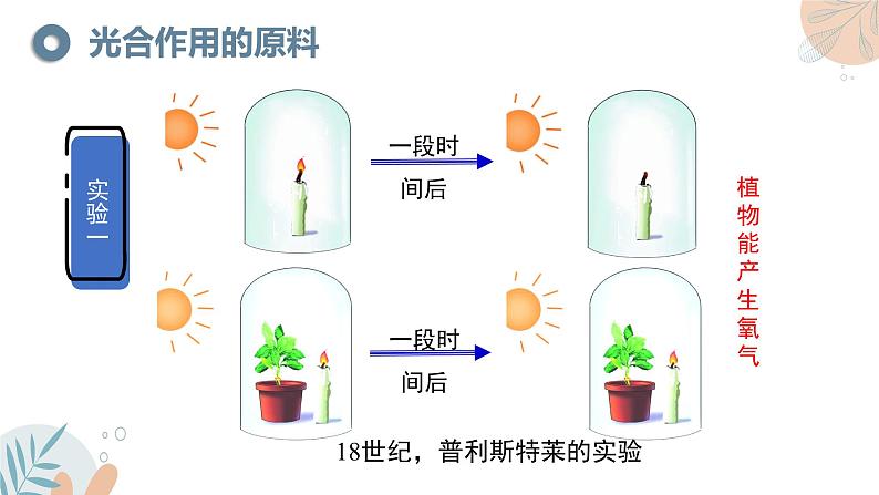 【核心素养目标】苏教版初中生物七年级下册4.11.1《植物的光合作用》课件第8页