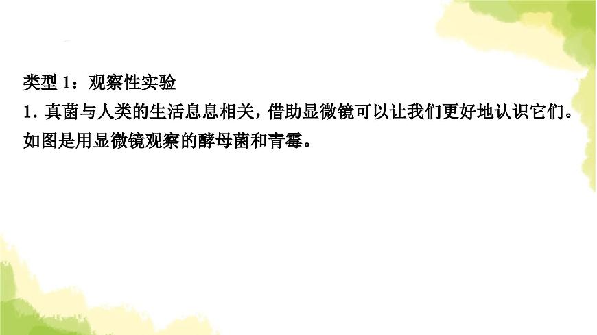 2025中考生物二輪復(fù)習(xí) 專項十 實驗探究題(課件)第5頁