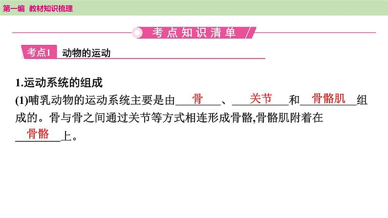 2025年中考知识整理八年级生物上册 第十九课时 动物的运动和行为及动物在生物圈中的作用课件PPT第2页