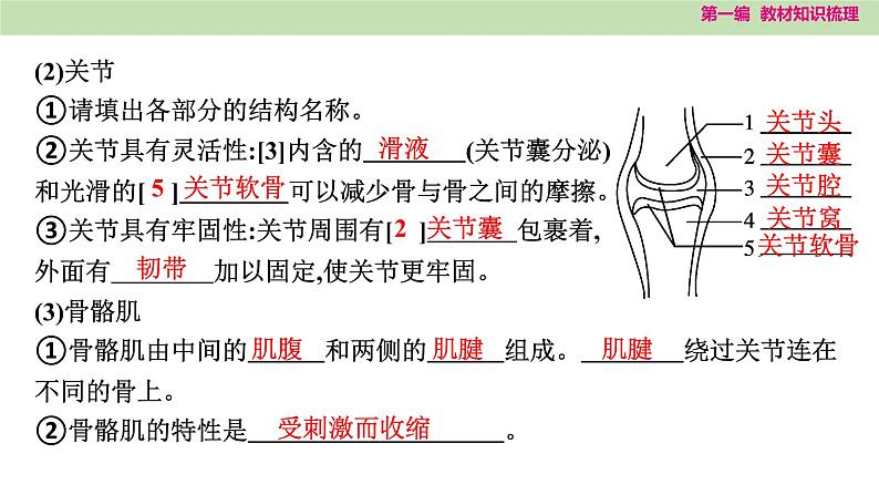 2025年中考知识整理八年级生物上册 第十九课时 动物的运动和行为及动物在生物圈中的作用课件PPT第3页