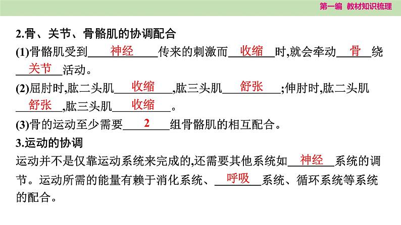 2025年中考知识整理八年级生物上册 第十九课时 动物的运动和行为及动物在生物圈中的作用课件PPT第4页