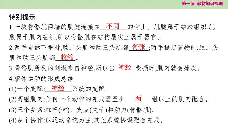 2025年中考知识整理八年级生物上册 第十九课时 动物的运动和行为及动物在生物圈中的作用课件PPT第5页