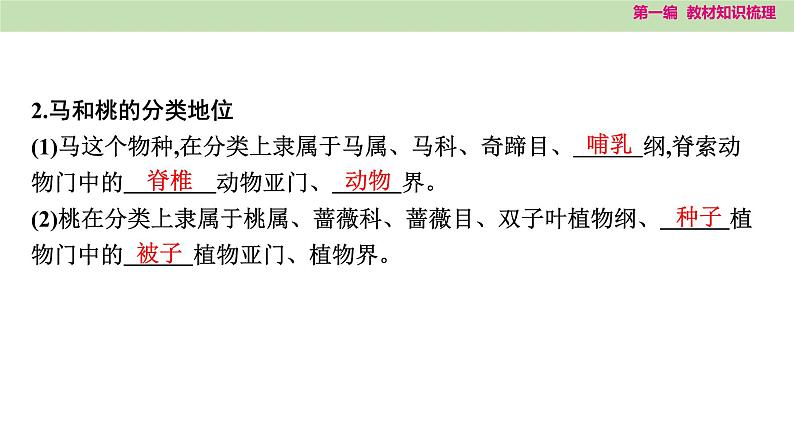 2025年中考知识整理八年级生物下册 第二十三课时 生物的多样性及其保护课件PPT第7页