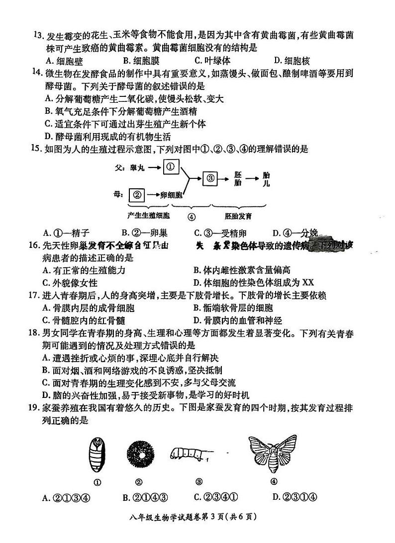 安徽省淮北市2024-2025学年八年级上学期期末生物试题第3页
