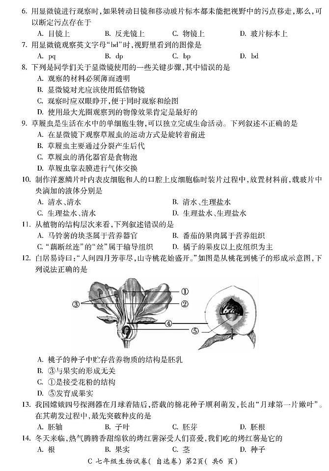 安徽省宣城市2024-2025学年七年级上学期期末考试生物试题第2页