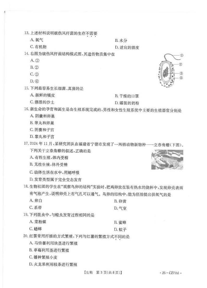 福建省泉州市2024-2025学年八年级上学期期末教学质量监测生物试卷第3页
