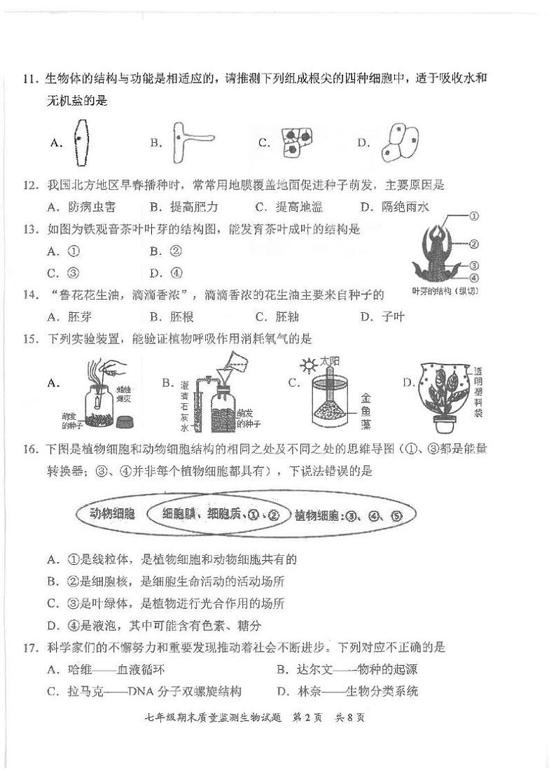 福建省泉州市安溪县2024-2025学年七年级上学期期末质量监测生物试题第2页