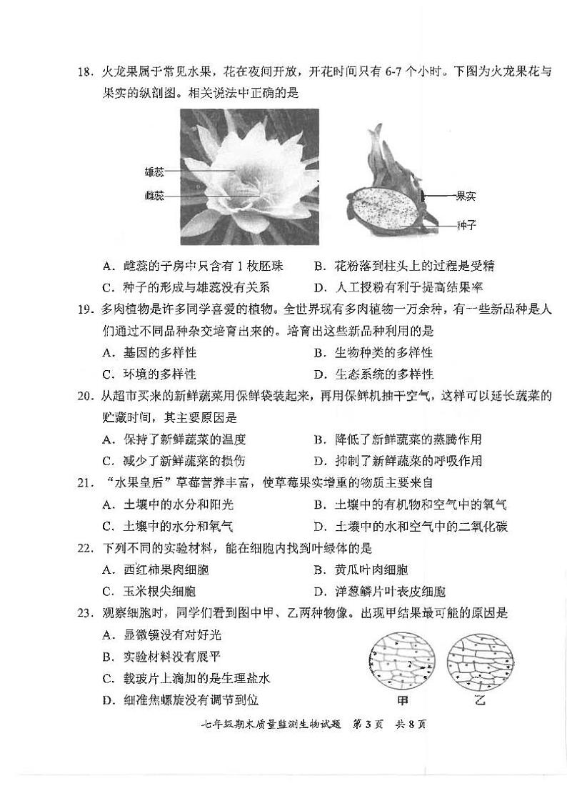 福建省泉州市安溪县2024-2025学年七年级上学期期末质量监测生物试题第3页