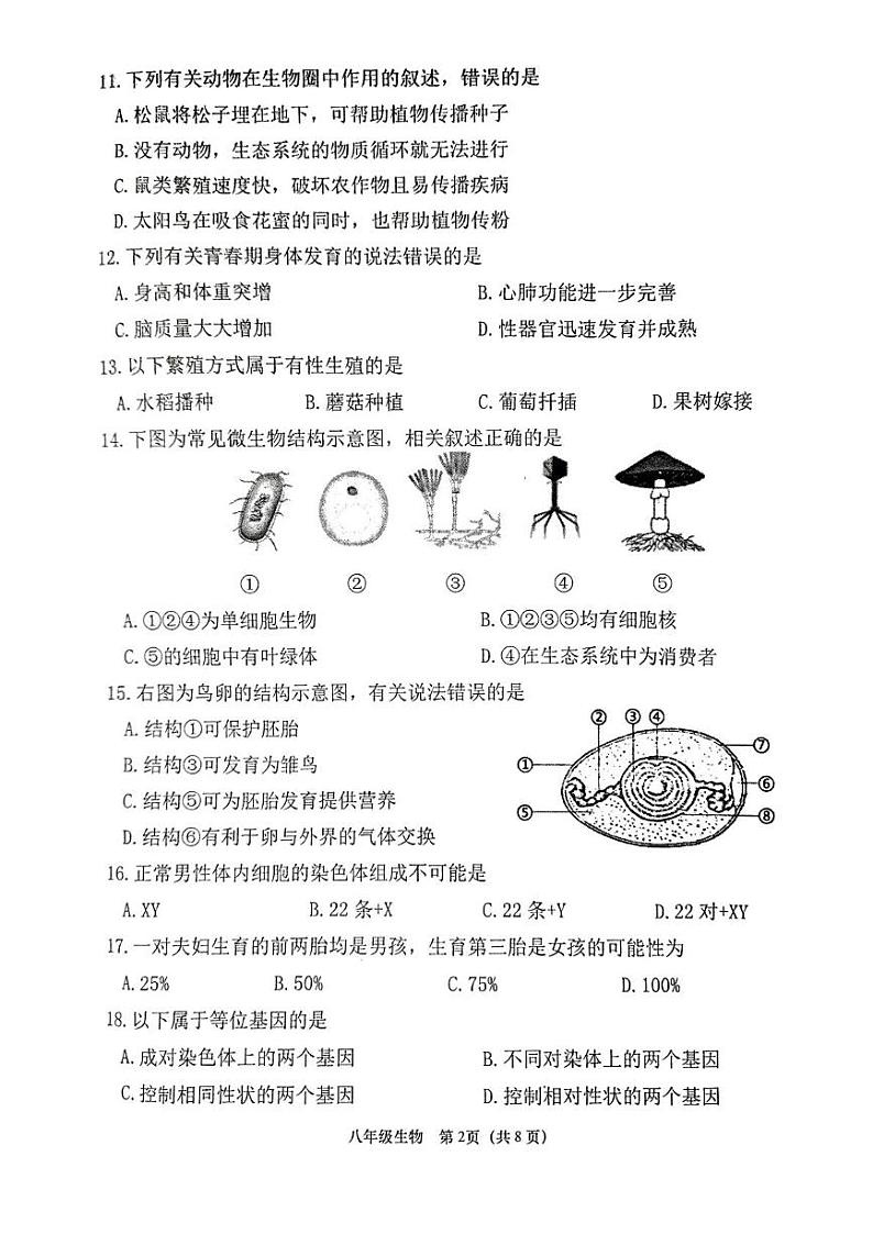福建省泉州市南安市2024-2025学年八年级上学期1月期末生物试题第2页