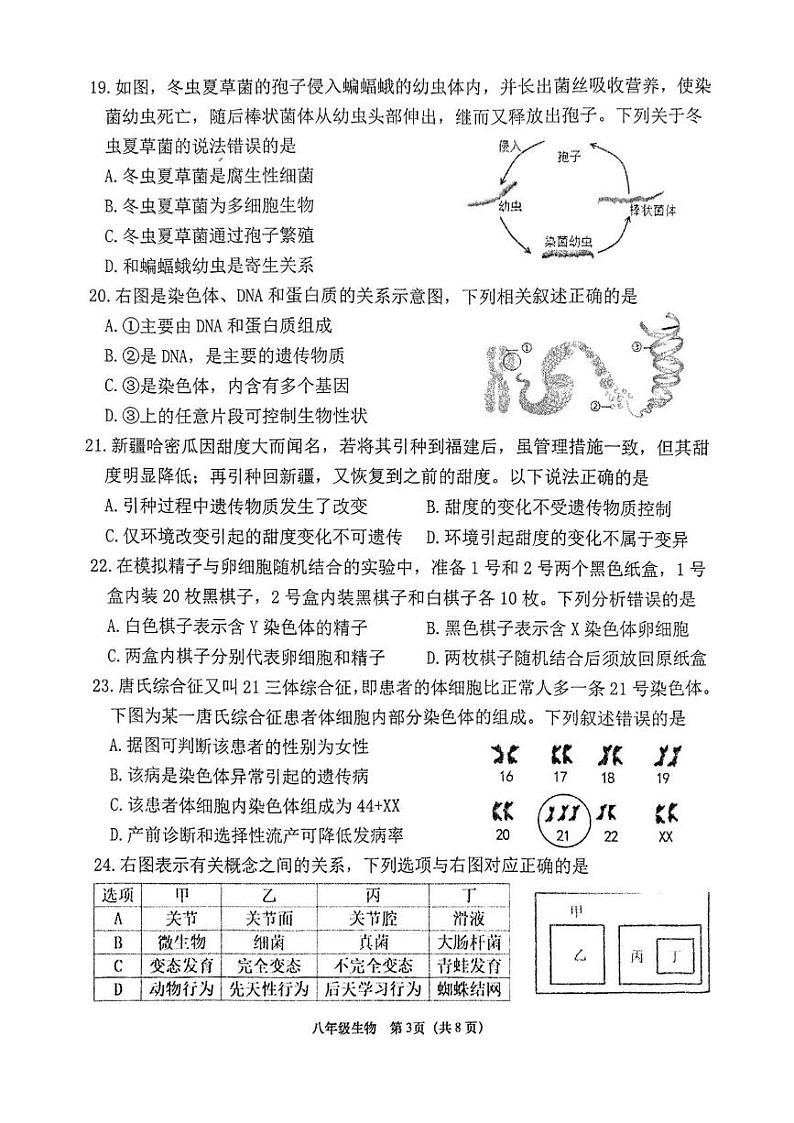 福建省泉州市南安市2024-2025学年八年级上学期1月期末生物试题第3页