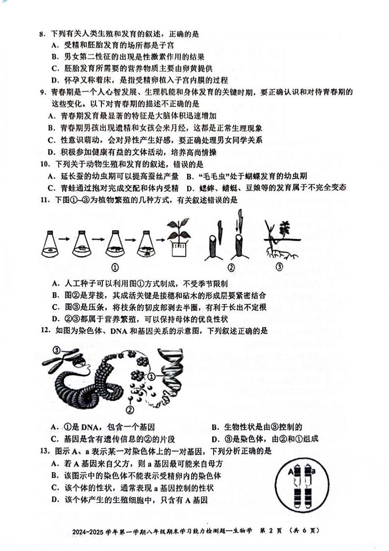广东省梅州市五华县2024-2025学年八年级上学期1月期末生物试题第2页