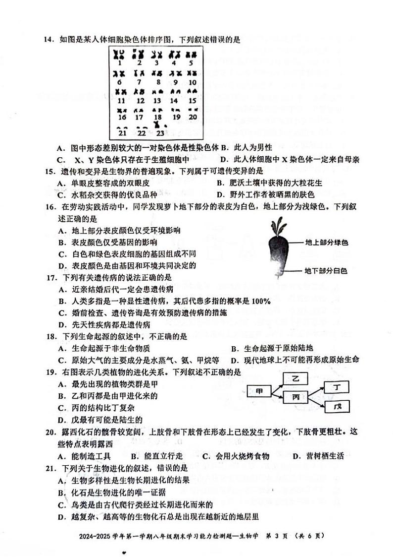 广东省梅州市五华县2024-2025学年八年级上学期1月期末生物试题第3页